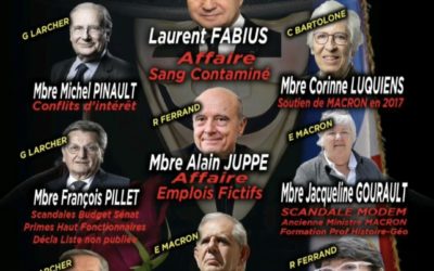 Le conseil constitutionel