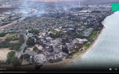 Maui, incendie criminel ?